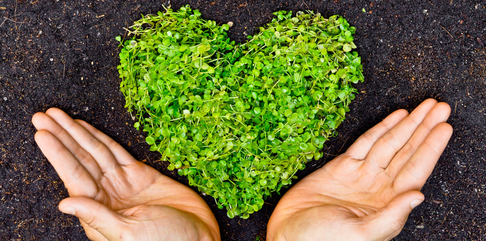 article image for Social value: Why it matters and the path to success